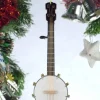Banjo