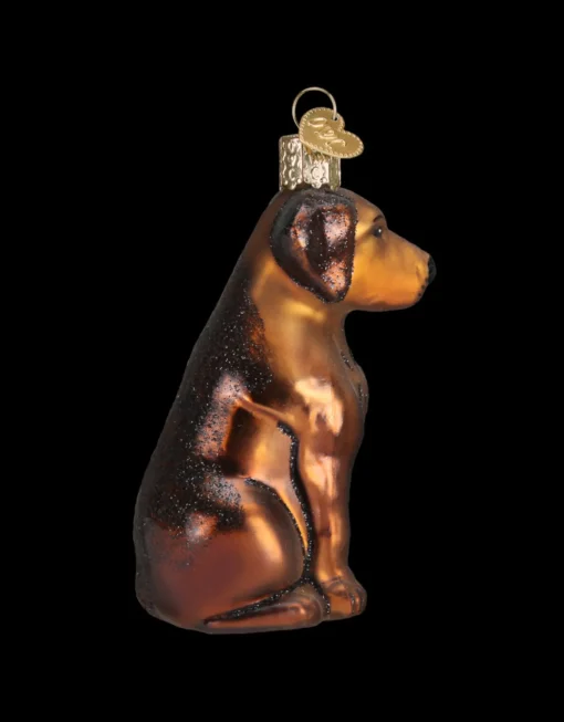 Chocolate Labrador Ornament