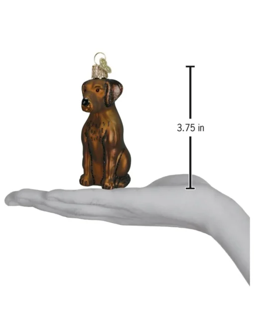 Chocolate Labrador Ornament