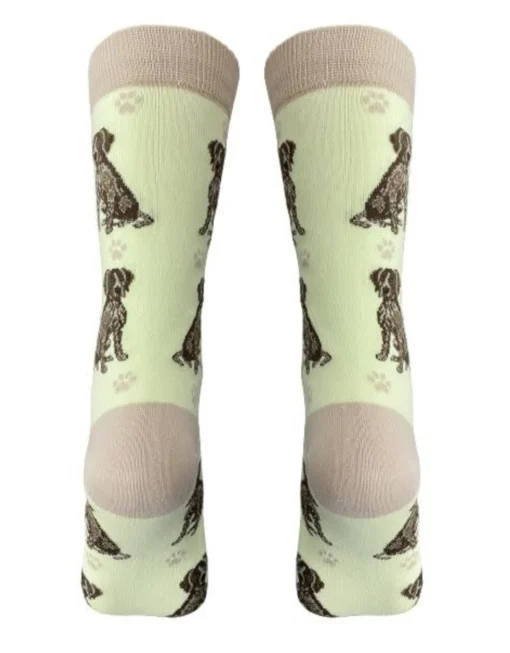 Full Body German Shorthair Pointer Socks
