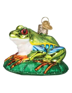 Red-Eyed Tree Frog