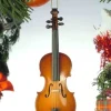Wooden Cello